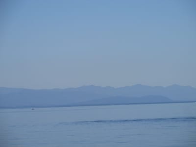 IMG_0881.JPG