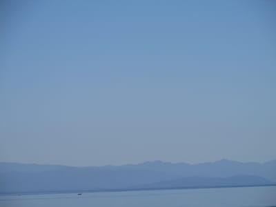 IMG_0882.JPG