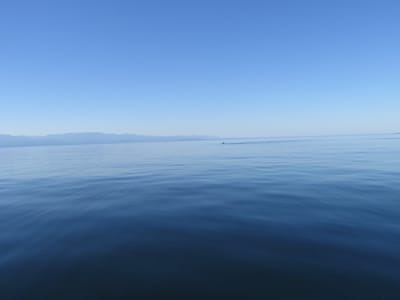 IMG_0883.JPG