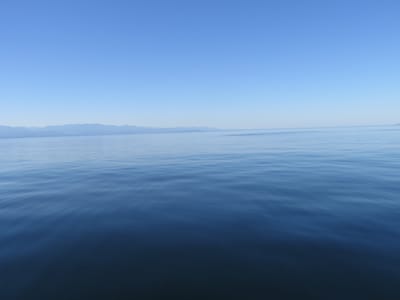 IMG_0884.JPG