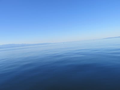 IMG_0885.JPG