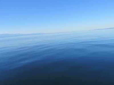 IMG_0886.JPG