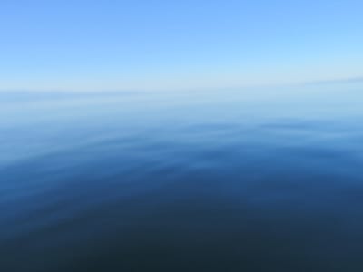 IMG_0887.JPG