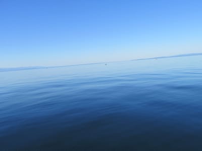 IMG_0890.JPG
