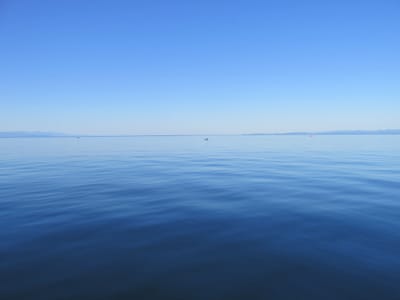 IMG_0891.JPG