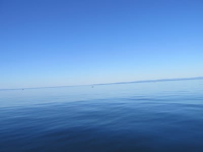 IMG_0892.JPG