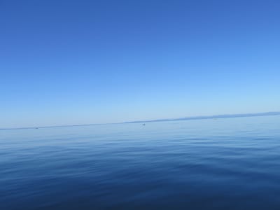 IMG_0893.JPG
