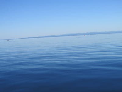 IMG_0895.JPG