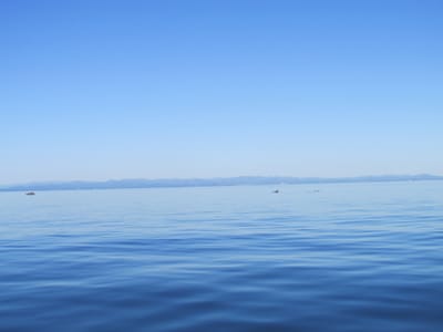 IMG_0896.JPG
