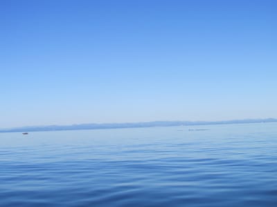 IMG_0897.JPG