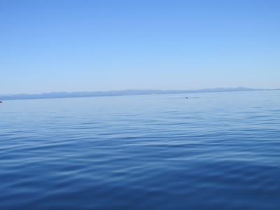 IMG_0898.JPG