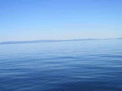 IMG_0899.JPG