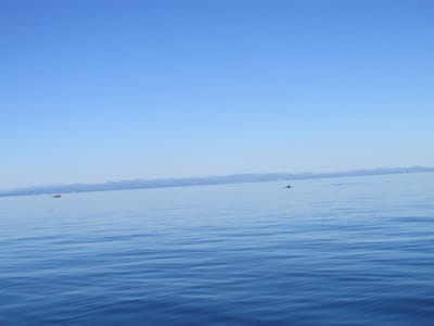 IMG_0901.JPG