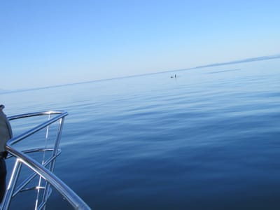 IMG_0902.JPG