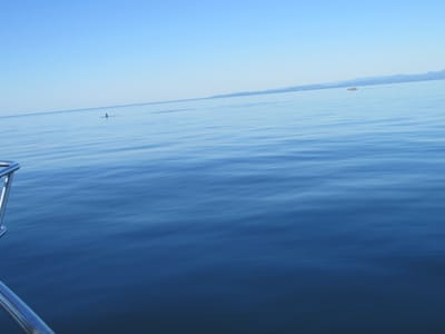 IMG_0903.JPG