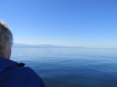 IMG_0904.JPG