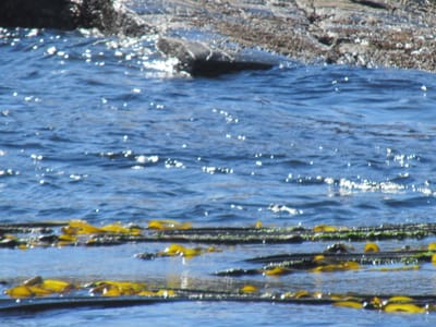 IMG_0915.JPG