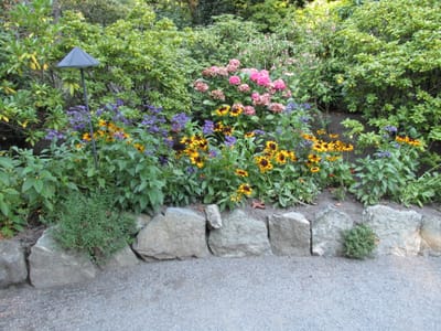 IMG_0943.JPG