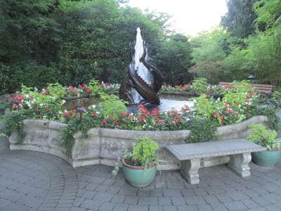 IMG_0944.JPG