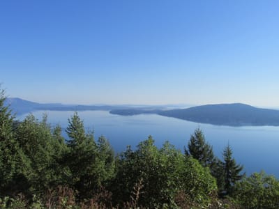 IMG_0965.JPG