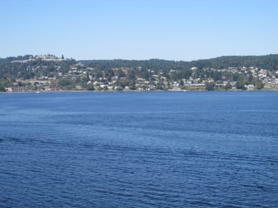 IMG_0986.JPG