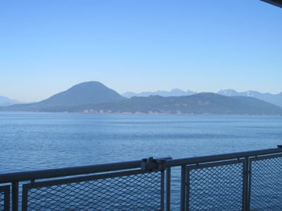 IMG_0990.JPG