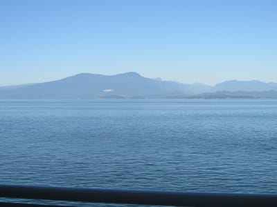IMG_0991.JPG