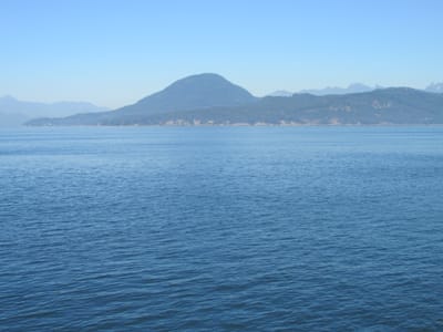 IMG_0992.JPG