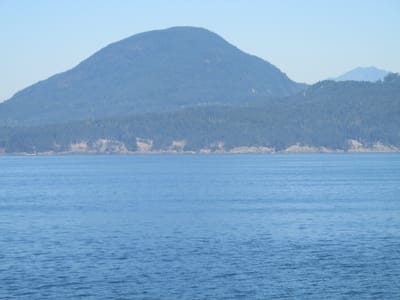 IMG_0993.JPG