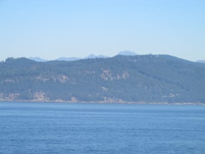 IMG_0994.JPG