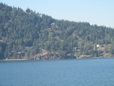 IMG_0996.JPG