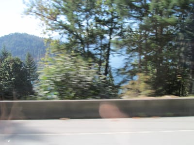 IMG_1013.JPG