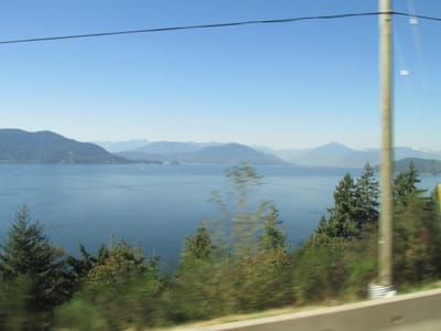 IMG_1014.JPG
