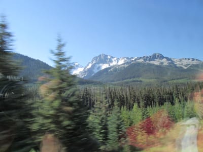 IMG_1042.JPG