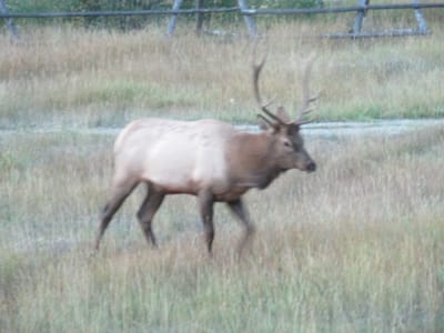 IMG_1122.JPG