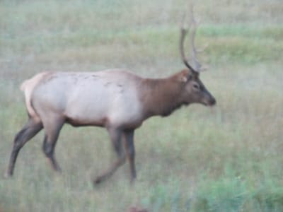 IMG_1123.JPG