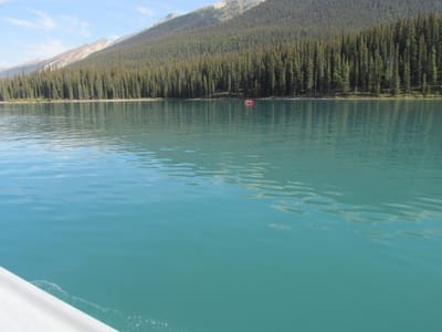 IMG_1155.JPG