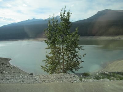 IMG_1160.JPG