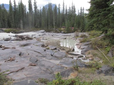 IMG_1225.JPG
