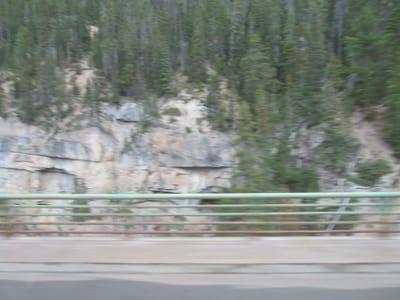 IMG_1291.JPG