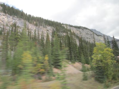 IMG_1293.JPG