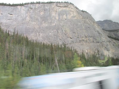 IMG_1294.JPG