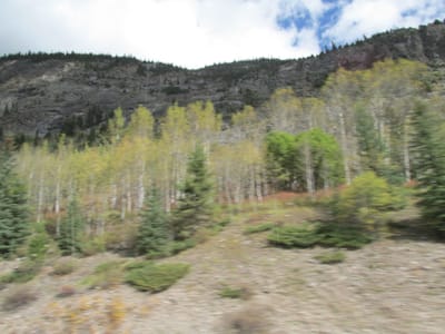 IMG_1295.JPG