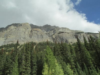 IMG_1296.JPG