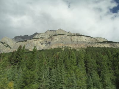 IMG_1297.JPG