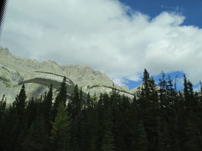 IMG_1298.JPG