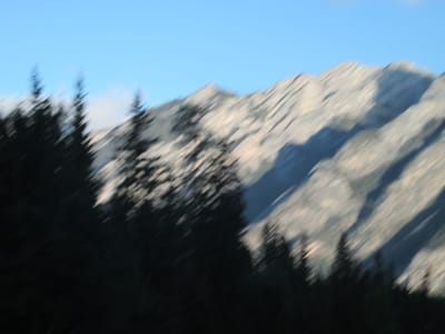 IMG_1346.JPG