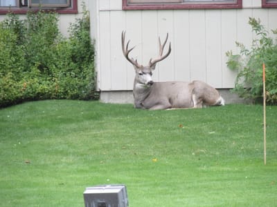 IMG_1407.JPG