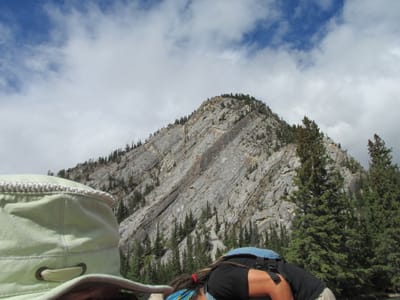 IMG_1432.JPG