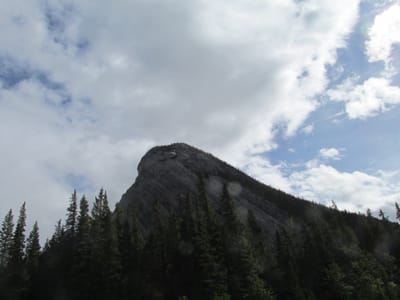 IMG_1434.JPG